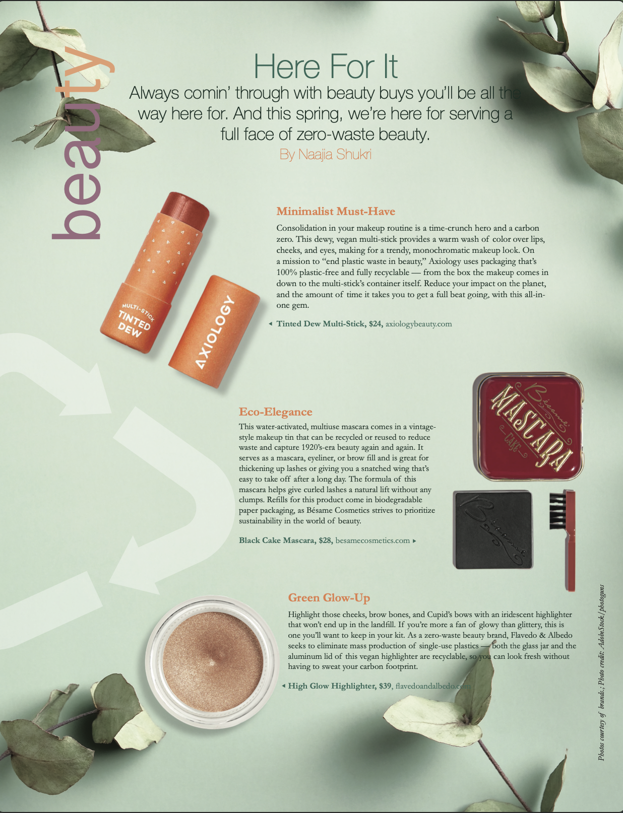 feb 20 screenshot from naajia shukri portfolio